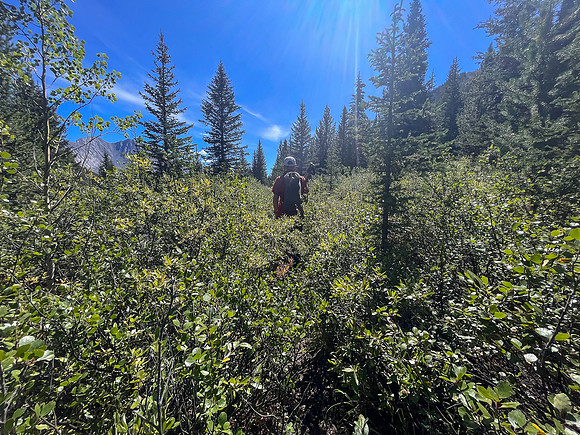 Hiking back along the North Fork Pass Trail.
