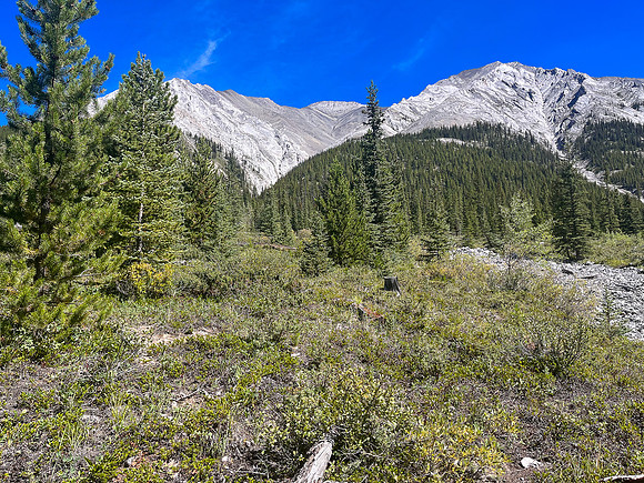 Hiking back along the North Fork Pass Trail.