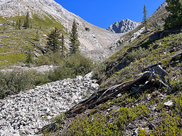 Descending alpine slopes back to the North Fork Pass trail.