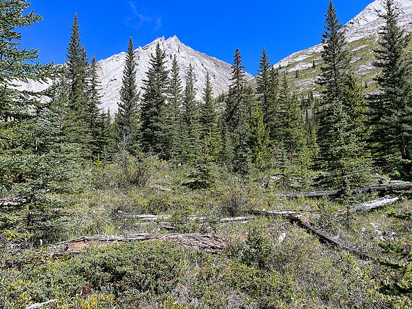 Descending alpine slopes back to the North Fork Pass trail.