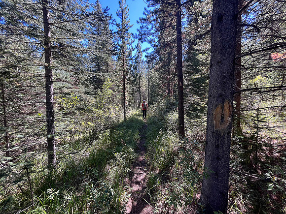 Hiking back along the North Fork Pass Trail.