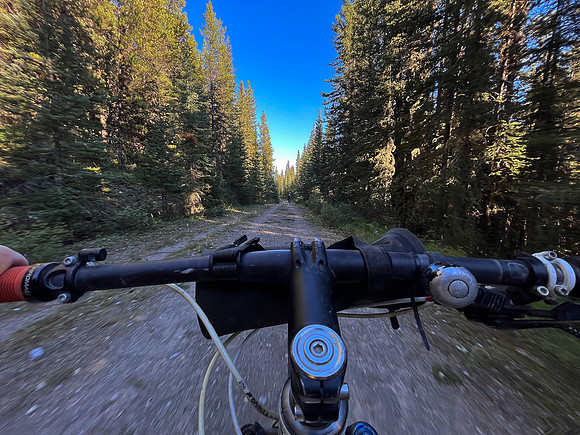 Biking back along the Cascade fire road.
