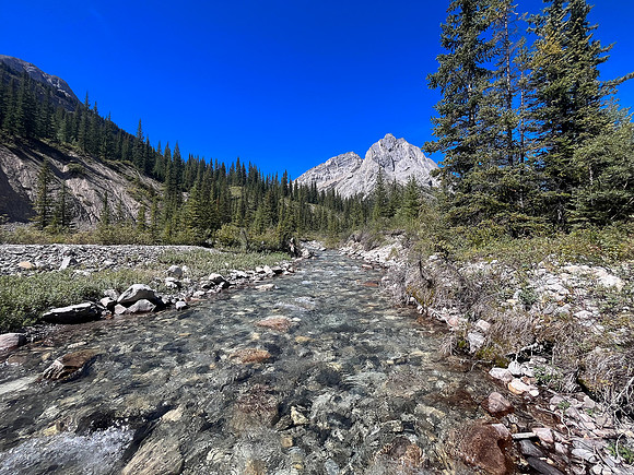 Hiking back along the North Fork Pass Trail.