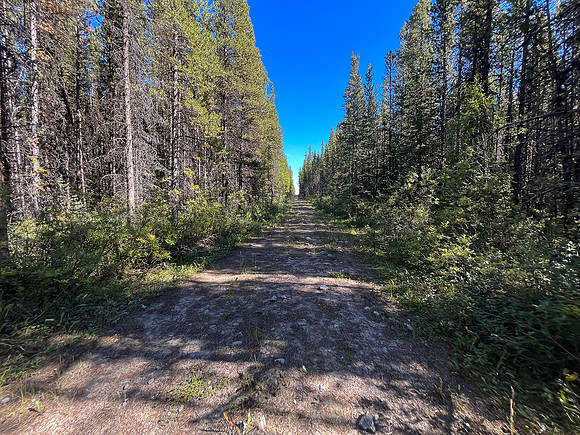 Hiking back along the Cascade River between Flint's Park and the Cascade fire road.