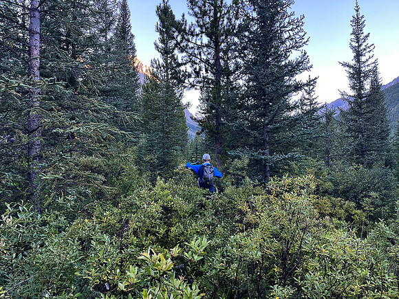 A cool morning hike up the North Fork Pass Trail.
