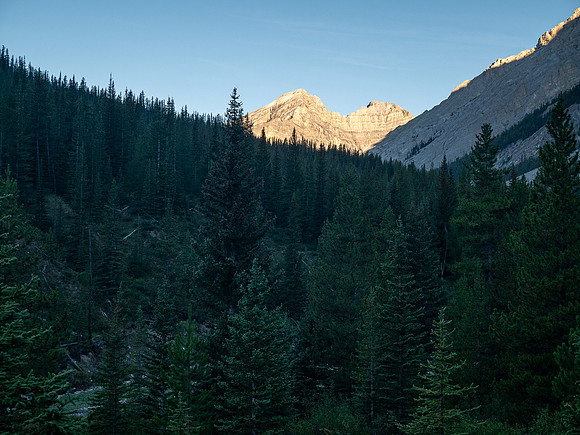 A cool morning hike up the North Fork Pass Trail.