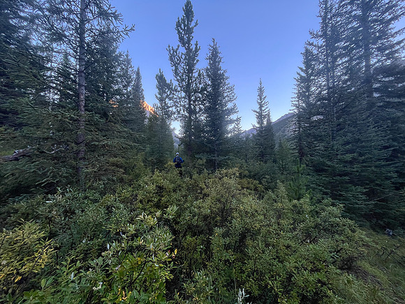 A cool morning hike up the North Fork Pass Trail.