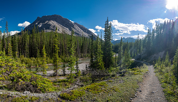 Hiking to Flints Park campground.