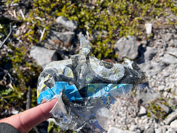 Mylar balloon.