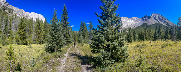 Hiking back along the Cascade River between Flint's Park and the Cascade fire road.