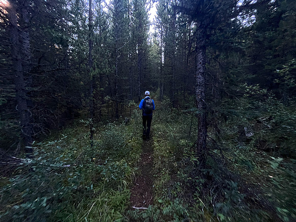 A cool morning hike up the North Fork Pass Trail.