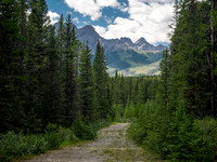 Hiking the old Cascade fire road between Stoney Creek and the Flints Park junction.