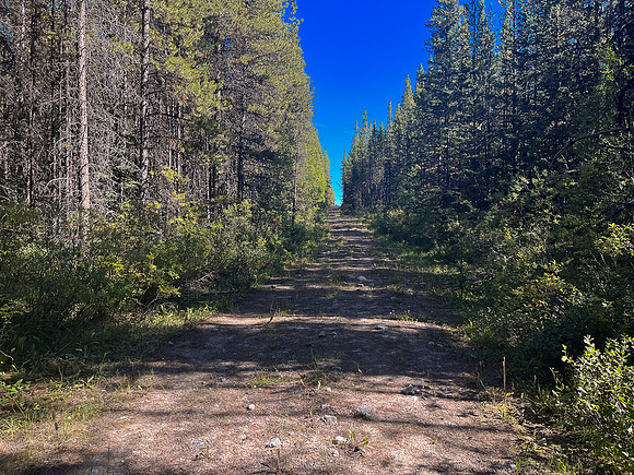 Hiking back along the Cascade River between Flint's Park and the Cascade fire road.
