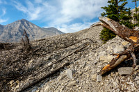 Washed out slopes across the cutline trail.