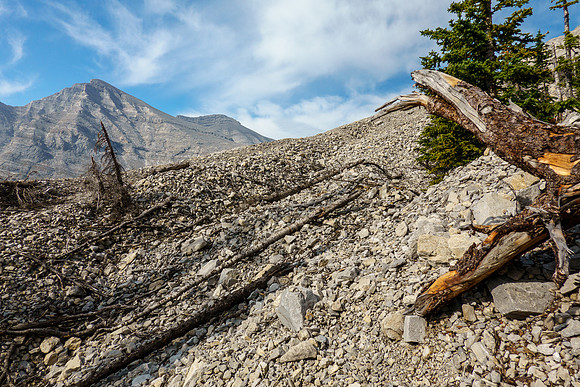 Washed out slopes across the cutline trail.