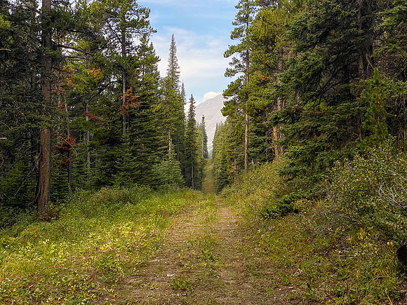 A long, straight cutline allows a quick and easy ride.