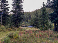 Biking back along the wide Cataract Creek trail.