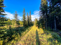 Biking back along the wide Cataract Creek trail.