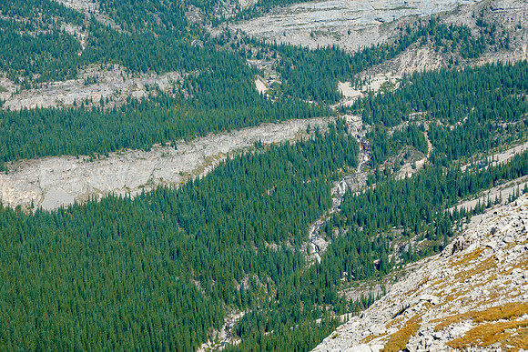 The upper Henretta Creek plateau is a pretty neat place!