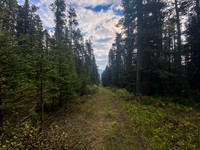 A long, straight cutline allows a quick and easy ride.
