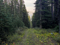 Biking back along the wide Cataract Creek trail.