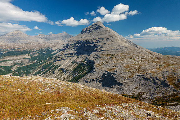 Views back to Mount Etherington.