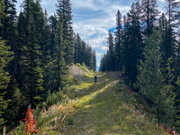 A long, straight cutline allows a quick and easy ride.