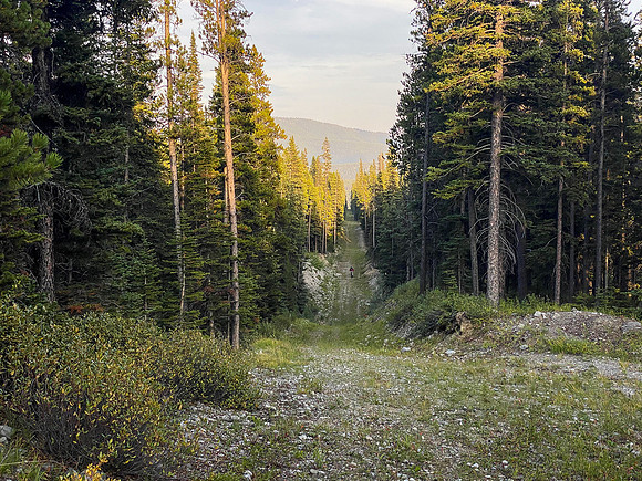 Biking back along the wide Cataract Creek trail.