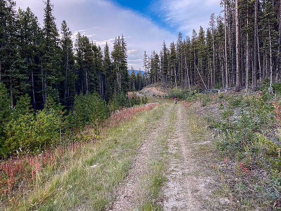 Biking back along the wide Cataract Creek trail.