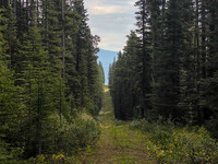 A long, straight cutline allows a quick and easy ride.