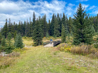 A good bridge over Cataract Creek.