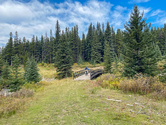 A good bridge over Cataract Creek.