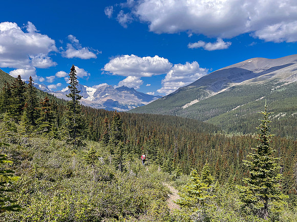 Hiking the north route from Wilcox Lake / Pass to Tangle Falls.