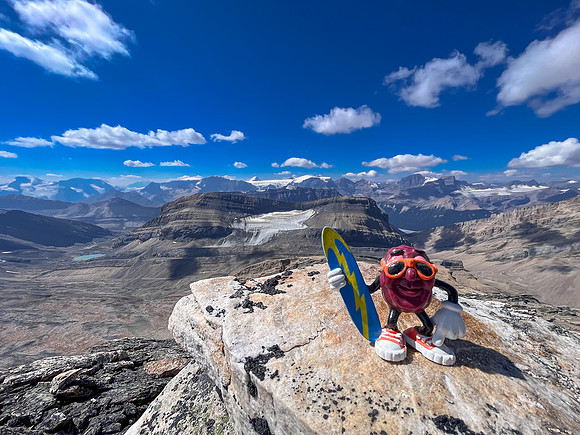 The summit of Mount Struan.