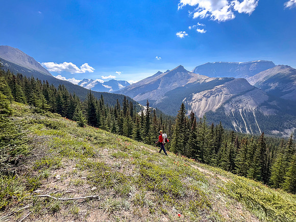 Hiking the north route from Wilcox Lake / Pass to Tangle Falls.