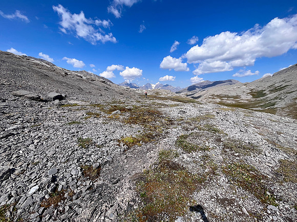 Hiking the north route from Wilcox Lake / Pass to Tangle Falls.