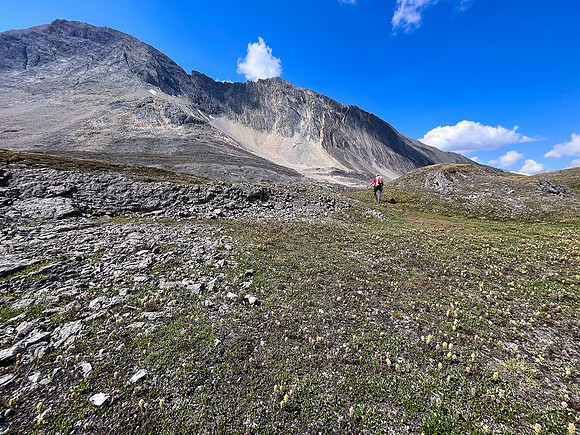 Hiking the north route from Wilcox Lake / Pass to Tangle Falls.