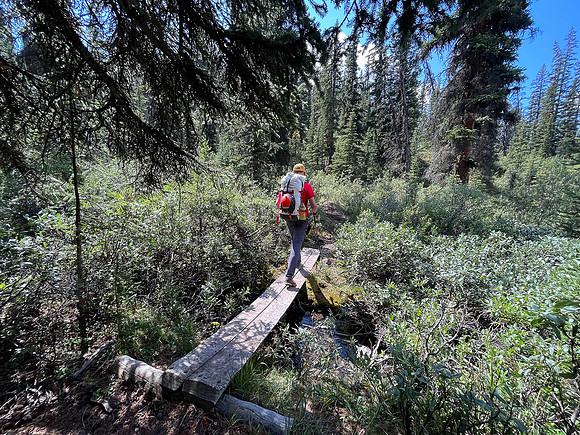 Hiking the north route from Wilcox Lake / Pass to Tangle Falls.