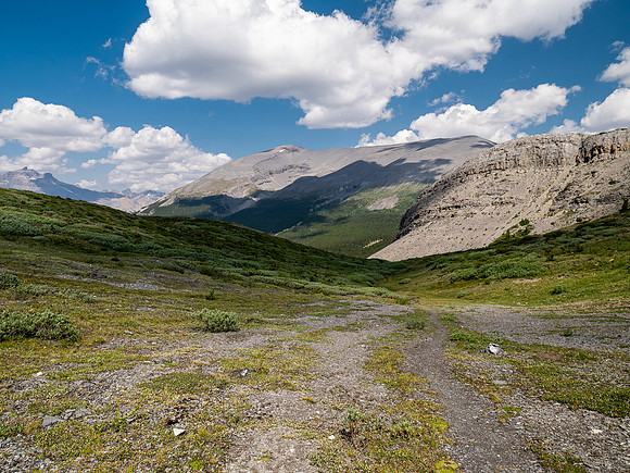 Hiking the north route from Wilcox Lake / Pass to Tangle Falls.