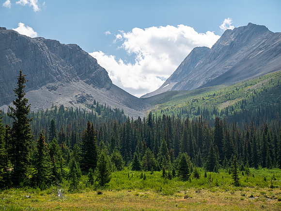 Hiking the north route from Wilcox Lake / Pass to Tangle Falls.