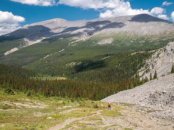 Hiking the north route from Wilcox Lake / Pass to Tangle Falls.