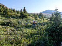 Hiking off trail to Tangle Pass.