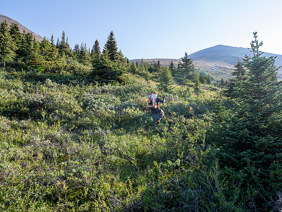 Hiking off trail to Tangle Pass.