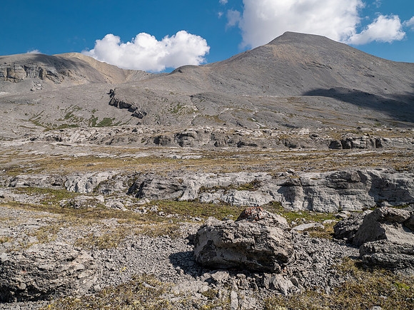 Hiking the north route from Wilcox Lake / Pass to Tangle Falls.