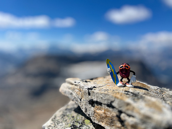 The summit of Mount Struan.