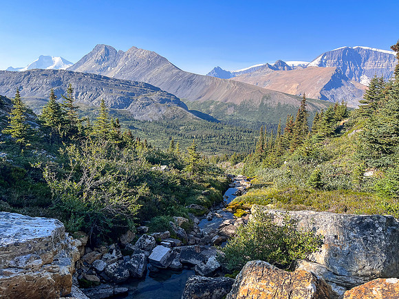 Hiking off trail to Tangle Pass.