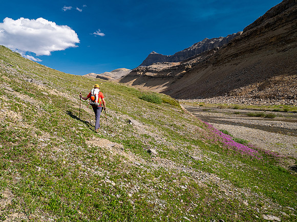 Hiking SE up Beauty Creek to the base of Andover.
