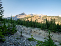 Hiking the north Wilcox Pass Trail from Tangle Falls.