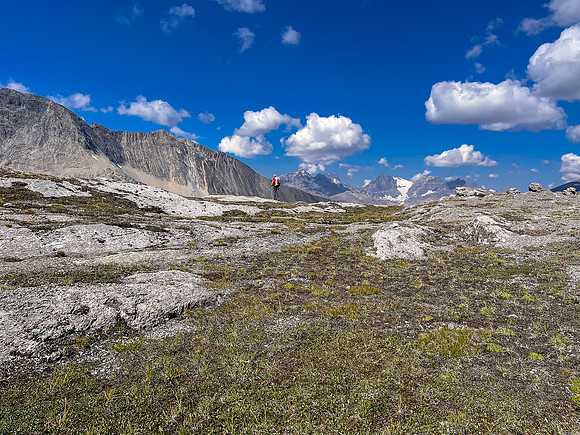 Hiking the north route from Wilcox Lake / Pass to Tangle Falls.