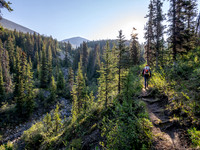 Hiking the north Wilcox Pass Trail from Tangle Falls.